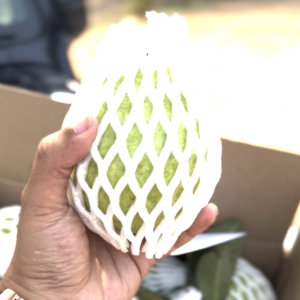 Thai-Pink Guava, 3Kg Box